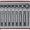 Teng Tools TTTX23 23-delige Bitset In Tray - Torx - 68860105