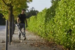 Stiga BL 980 R Benzine Bladblazer - 75,6cc - 2-takt - 100m/s - 25m³/min - 3,1kW 25 Stiga BL 980 R Benzine Bladblazer - 75,6cc - 2-takt - 100m/s - 25m³/min - 3,1kW -Gereedschap Winkel af36fc04125bf7fe96c90a2a0b5ef8f3